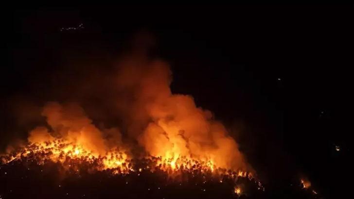 Alevlerle mücadelede son durum! Mersin'de orman yangın