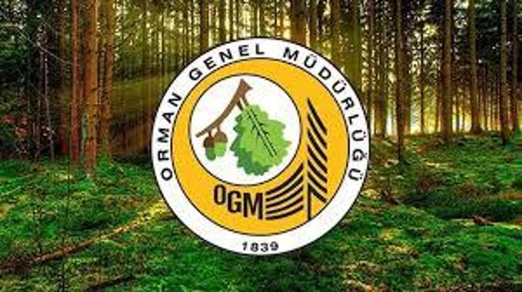 Orman Genel Müdürlüğü: Yangınlarla mücadelede yetersiz kalındığı haberleri gerçeği yansıtmıyor