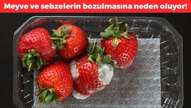 Meyve ve sebzelerin hemen bozulmasına neden oluyor! Buzdolabı kullanırken bu hatayı yapmayın