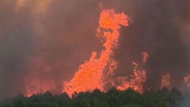Çanakkale'de orman yangını! Bakan Yumaklı son durumu açıkladı: 4 şüpheli gözaltında