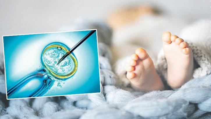 Dahi bebek teknolojisi