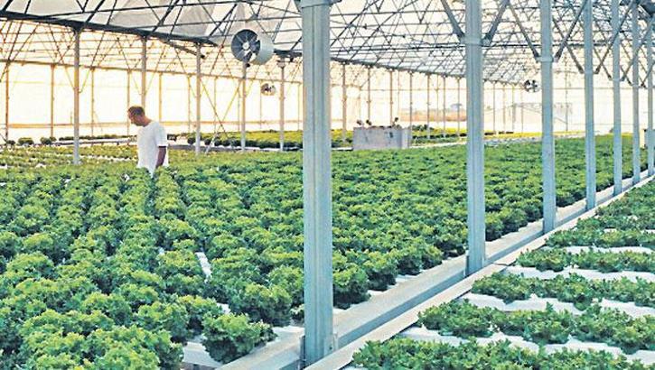 Yerel üreticilere destek