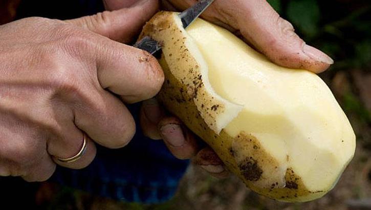 Ağustos ayında ekmek fiyatı arttı, patates ucuzladı