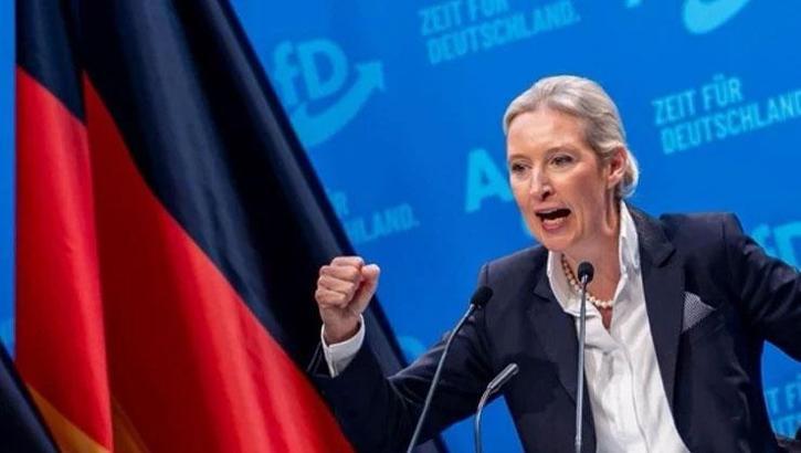 Almanya'da yerel seçimler öncesi aşırı sağcı AfD şoku: 1 eyalette açık ara farkla önde