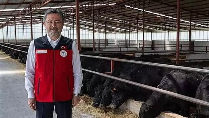 Bakan Yumaklı: Türkiye'deki hayvan sayısında artış yaşandı