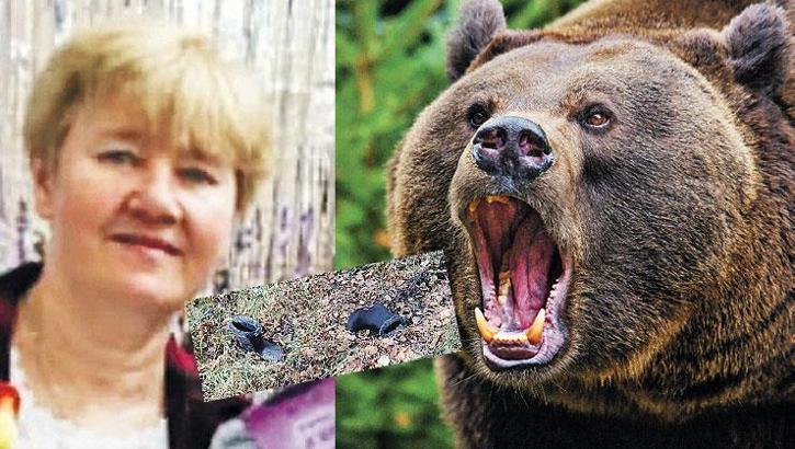 Ayı saldırdı geriye sadece botları kaldı