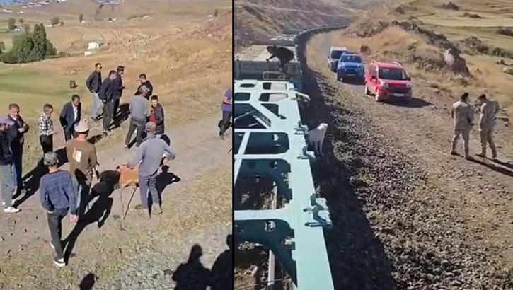 Yük treni sürüye çarptı: 5 büyükbaş öldü