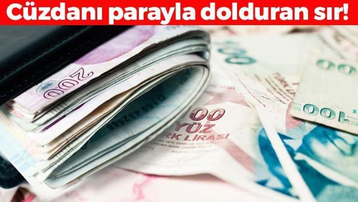 Cüzdanı böyle seçmek gerekiyormuş! Parayı, bolluk ve bereketi mıknatıs gibi kendisine çekiyor! Sakın o renkte almayın...