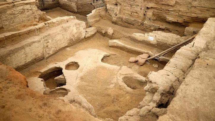 Anadolu sofralarının kökenine yolculuk: 4 bin yıllık nohut, 8 bin 600 yıllık ekmek kalıntıları bulundu