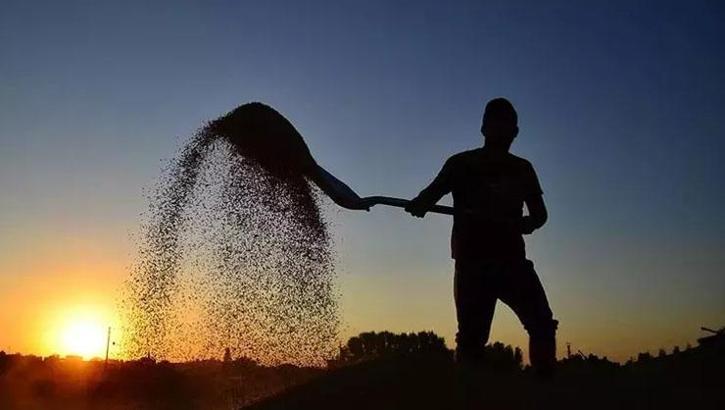 Çiftçinin yüzünü güldürecek haber! Destek ödemeleri bugün yapılacak