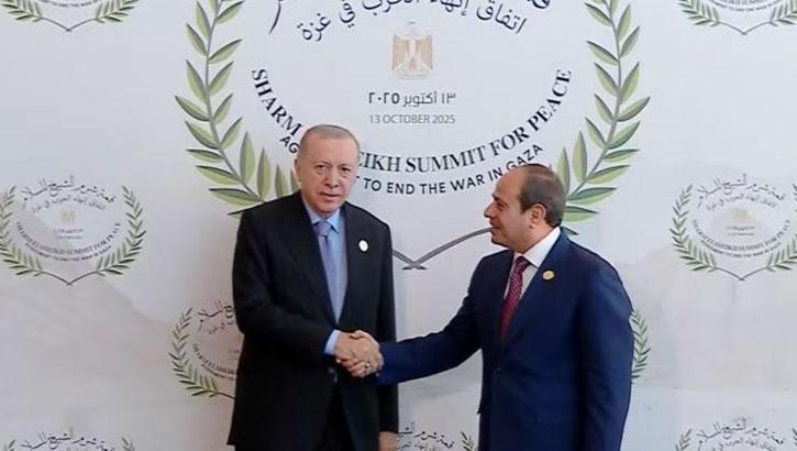 Cumhurbaşkanı Erdoğan'ı, Mısır lideri Sisi karşıladı