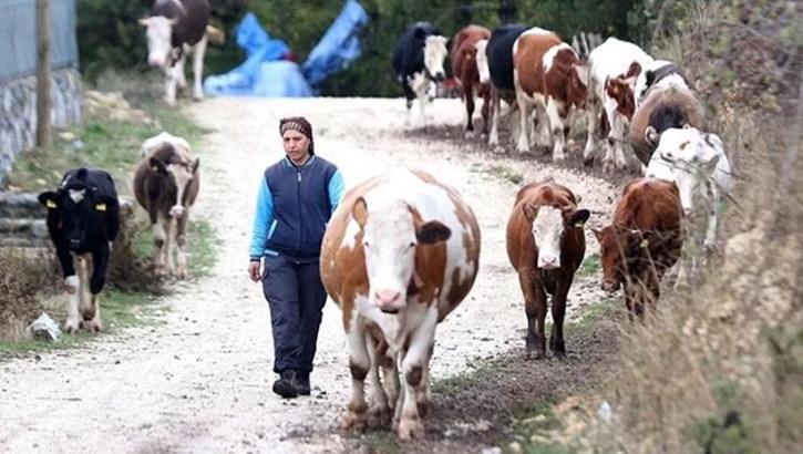 Köye gelin geldi, girişimci oldu! Devlet desteğiyle büyüdü