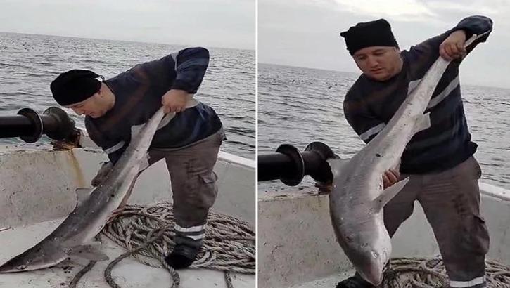 Karadeniz'de beklenmeyen misafir! Balıkçılar şaşkına döndü
