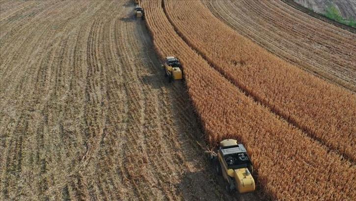 Çiftçilere 1,5 milyar liralık tarımsal destekleme ödemesi