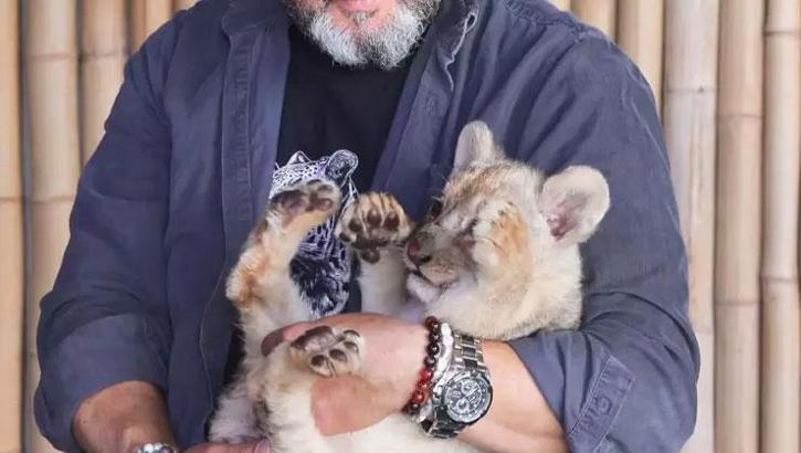 Koruma altına alınan yavru aslana ‘Hugo’ adı verildi