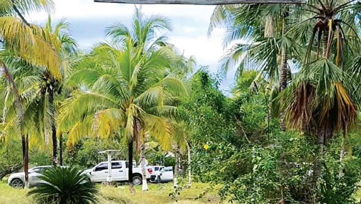 Evin bahçesinden mezarlık çıktı!