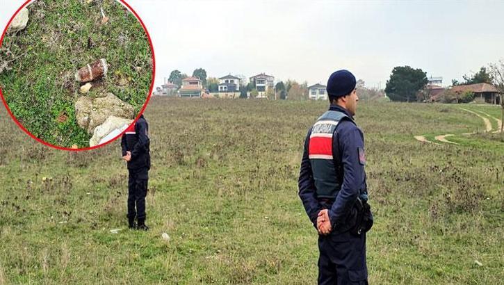 Mantar toplarken buldular, anında imha edildi