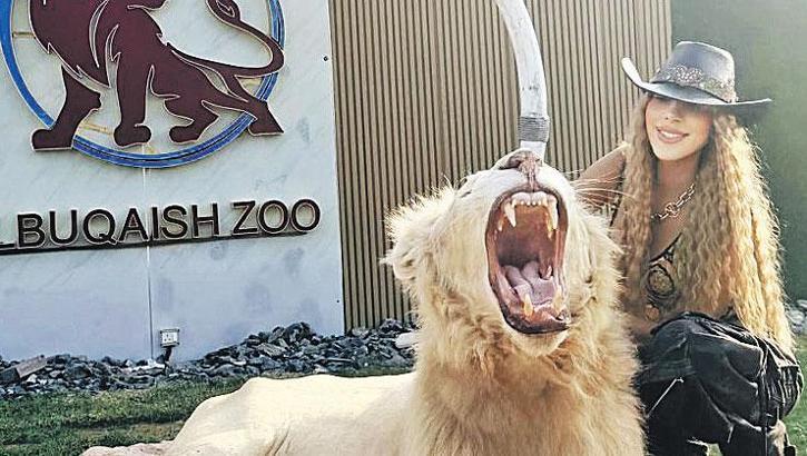 Dubai’de aslan gezdirdi! 'Hayatımın en sıra dışı deneyimi'