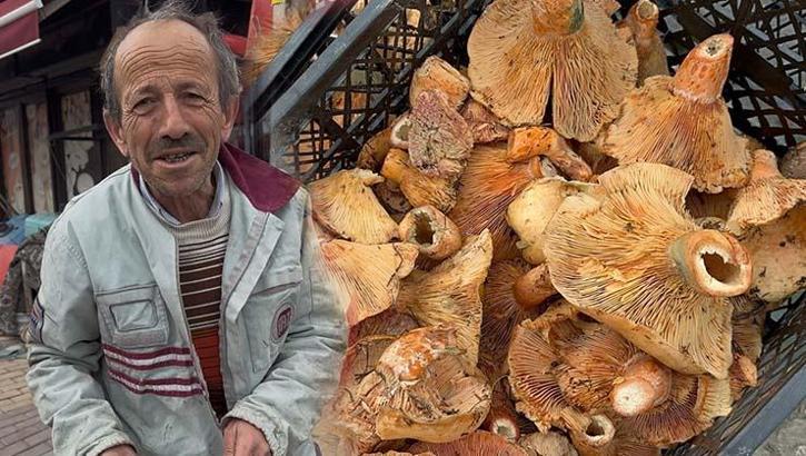 Yağmur yağdı, fiyatı 300 TL'den 100 TL'ye düştü! Halk arasında 'melki' adıyla da biliniyor: B12 ve protein deposu