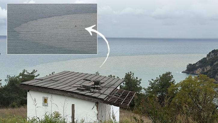 Bartın Irmağı'nın döküldüğü noktada endişelendiren manzara!