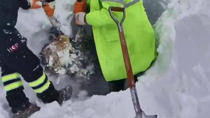Artvin’de çığ felaketi! 2 kişiyi arama çalışmaları sürüyor
