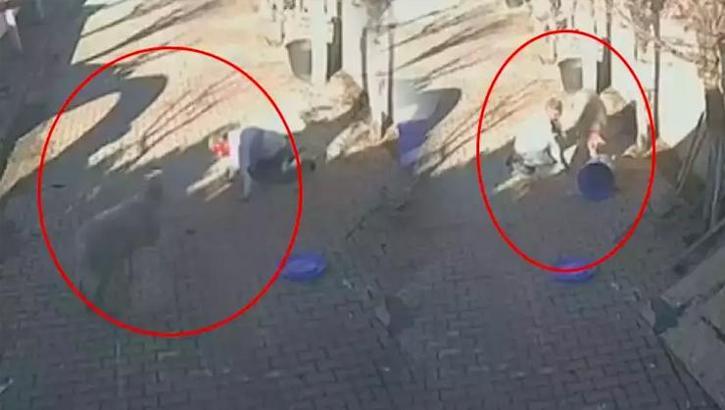 Silivri'de koç tarafından saldırıya uğrayan adam hastanelik oldu!