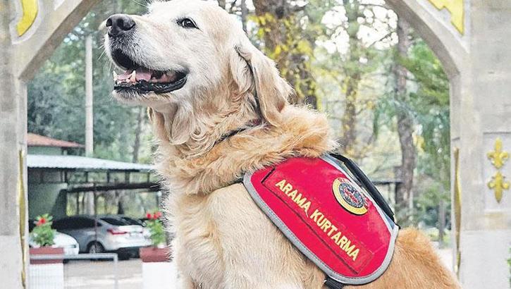 'Ocak' 48 can kurtardı