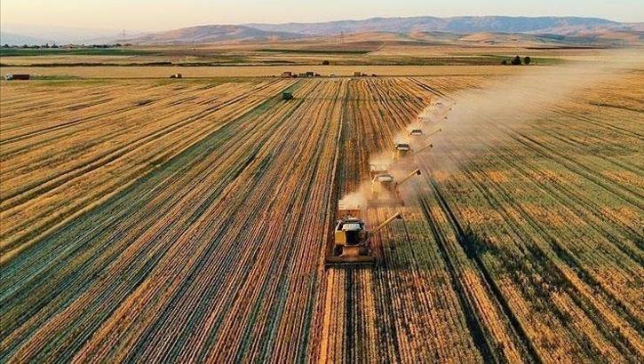 Çiftçilere müjde: 94 milyon 265 bin liralık destek ödemesi bugün yapılacak