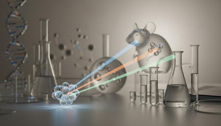 Kanser tedavisinde ezber bozan gelişme: Farelerde tam başarı sağlandı, sırada insanlar var