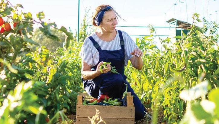 KUZKA Destek Programı başladı