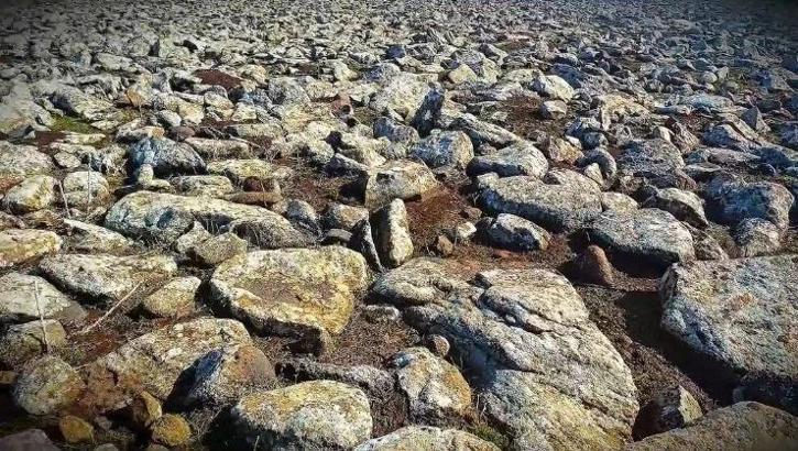Şanlıurfa'da dev operasyon! Taşların altından cephanelik çıktı; işte ele geçirilenler