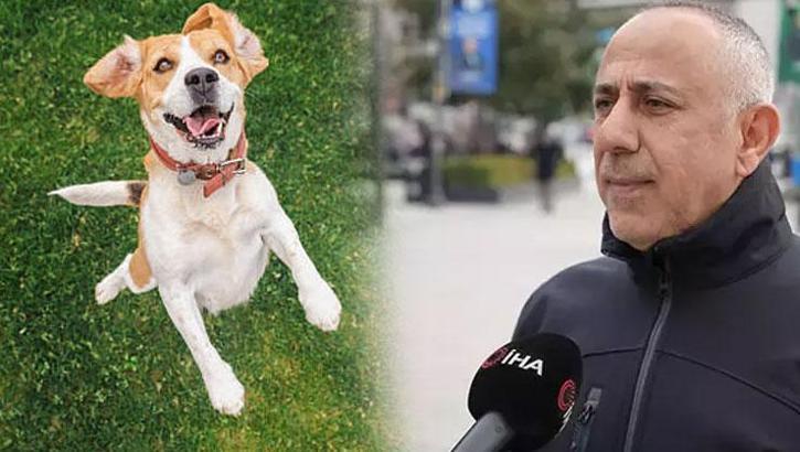 AFAD duyurdu: İstanbul'da bir ilk! Evcil köpeklere afet eğitimi verilecek