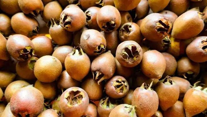 Muşmulanın faydaları nelerdir? Muşmula neye iyi gelir?