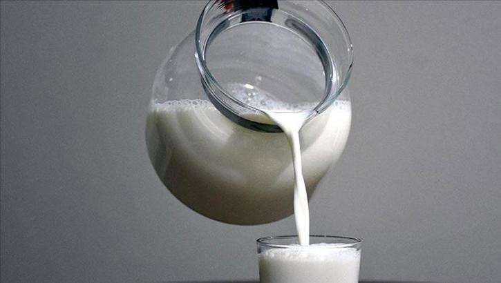 Laktozsuz sütün faydaları nelerdir?