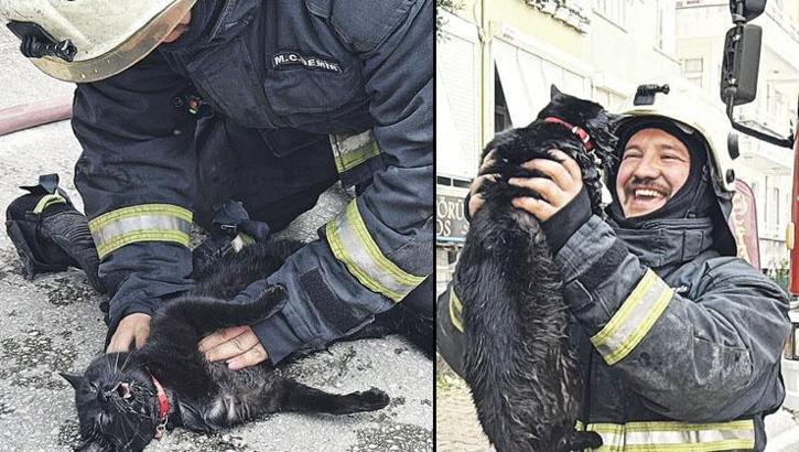 Kediye kalp masajı! Önce nefes sonra öpücük