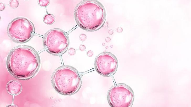 Collagen Nedir? Collagen İçeren Takviyeler Hakkında Genel Bilgiler