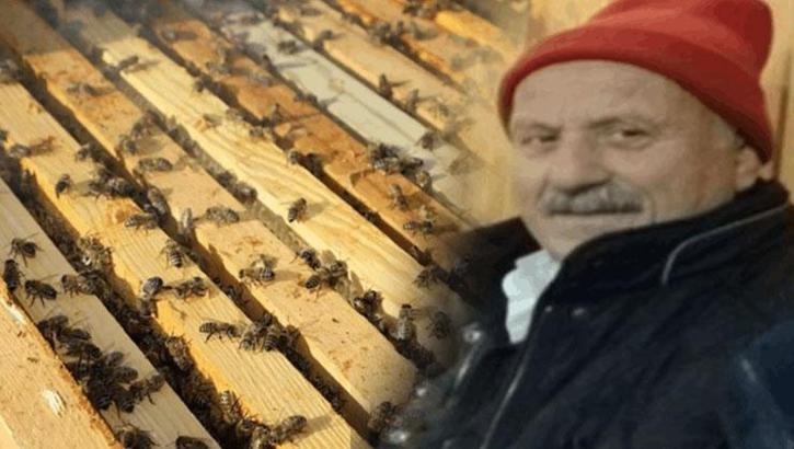 Arı soktu hayatı durdu