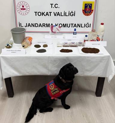 Tokat'ta uyuşturucu operasyonu 7 gözaltı