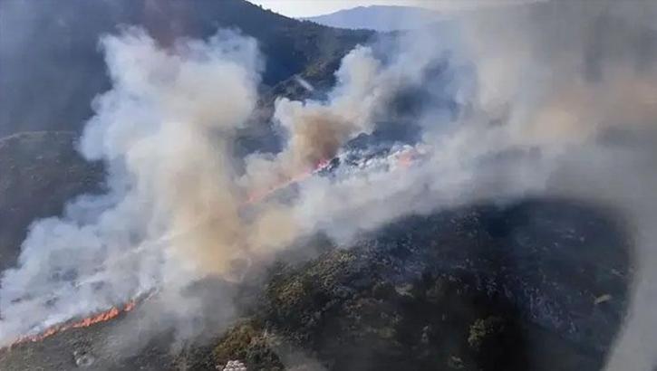 Muğla Marmaris'te korkutan orman yangını!