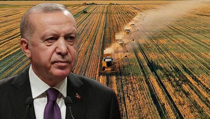 Cumhurbaşkanı Erdoğan'dan peş peşe tarım müjdeleri! Kredi limitleri artırıldı, rekoltede rekor beklentisi