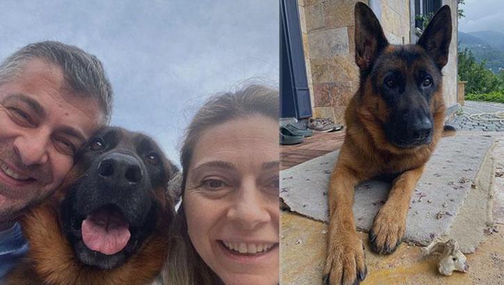25 gündür kayıp olan 'Santos' için 100 bin lira ödül! 'O bizim evladımız'