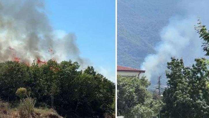 Bursa'da ormanlık alanda yangın! Ekipler müdahele ediyor