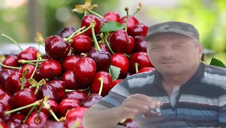 Dalından koparıp yedikleri kiraz karı ve kocanın sonu oldu