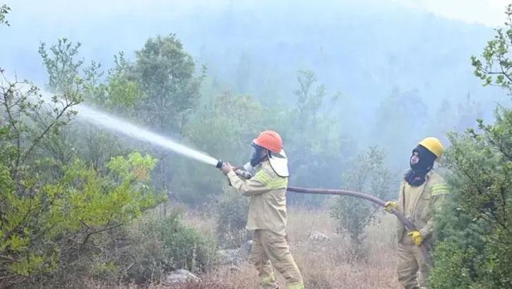 Antalya'da orman yangını! Alevlere havadan ve karadan müdahale sürüyor