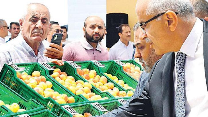 Kayısı bereketi festival coşkusuyla kutlandı