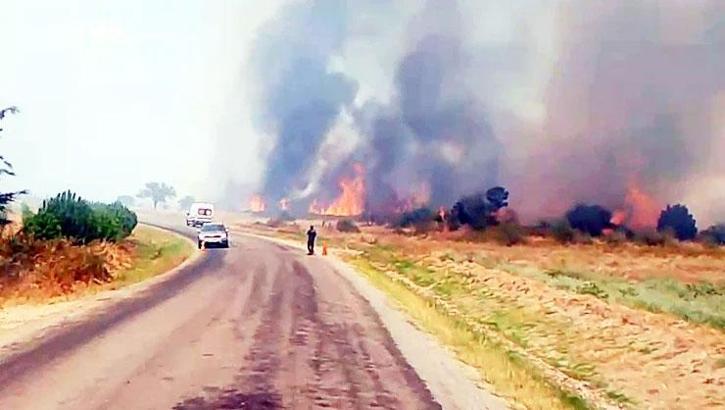 Edirne'de anız yangını ormana sıçradı! Havadan ve karadan müdahale sürüyor
