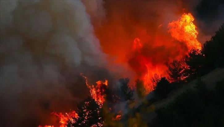 Muğla Marmaris'te orman yangını çıktı