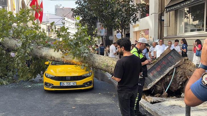 Nişantaşı'nda çınar ağacı taksinin üzerine devrildi, yol trafiğe kapandı!
