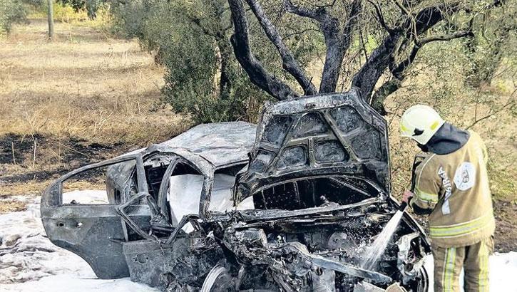Zeytin ağacı otomobili yaktı