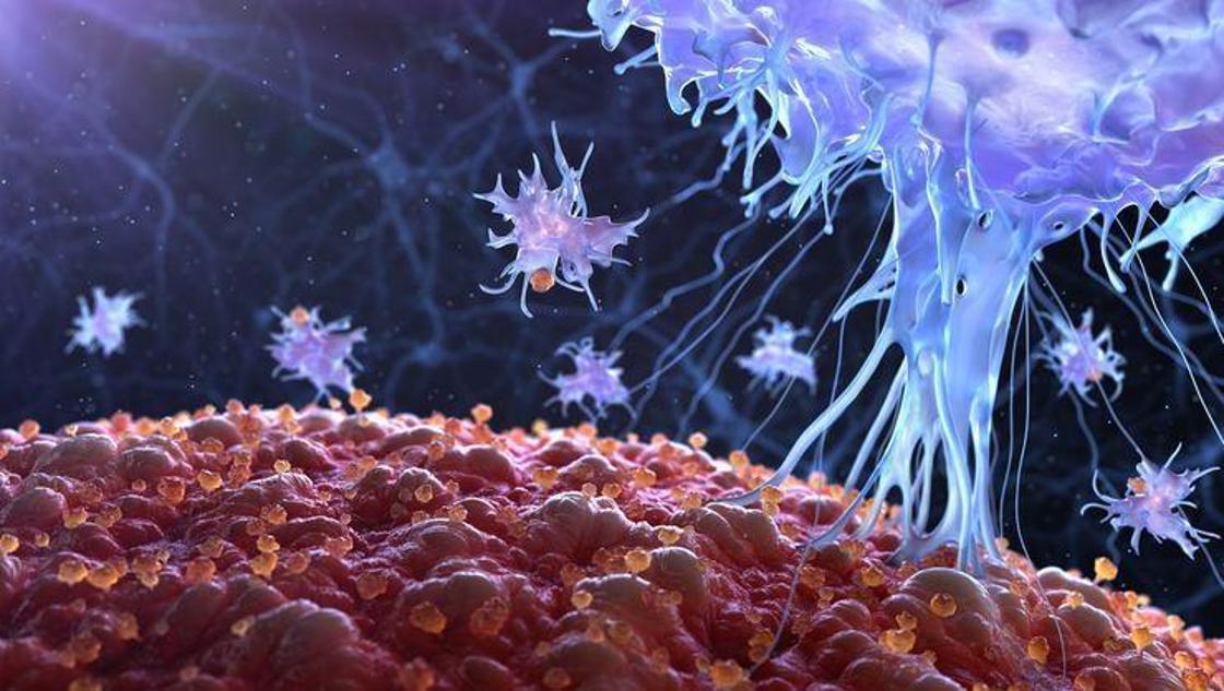 Kanser artık çaresiz değil! Düzenli kontroller hayati öneme sahip